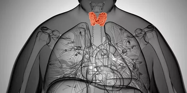 Obezite Ve Tiroid İlişkisi