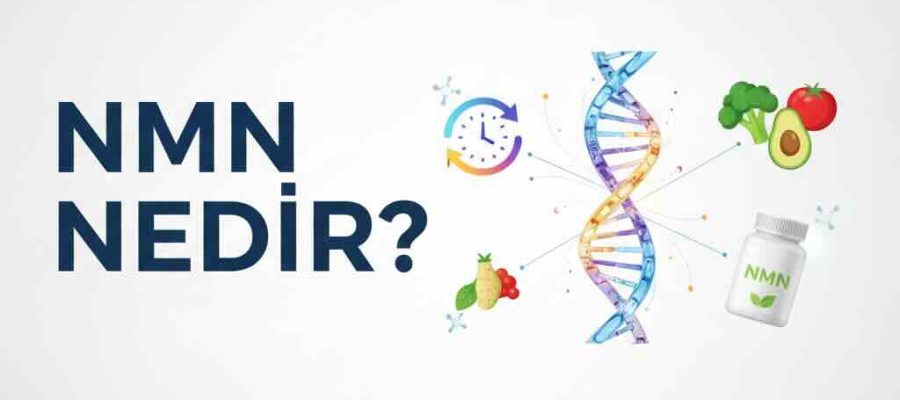 NMN takviyesi faydaları