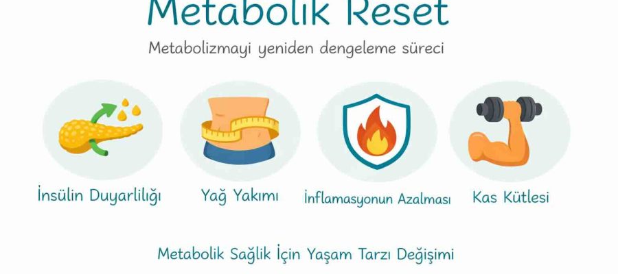 metabolik reset