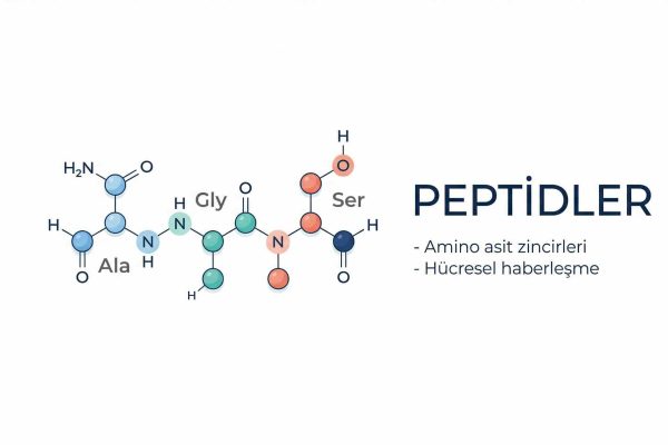 Tıbbın Yeni Şifresi Peptidler